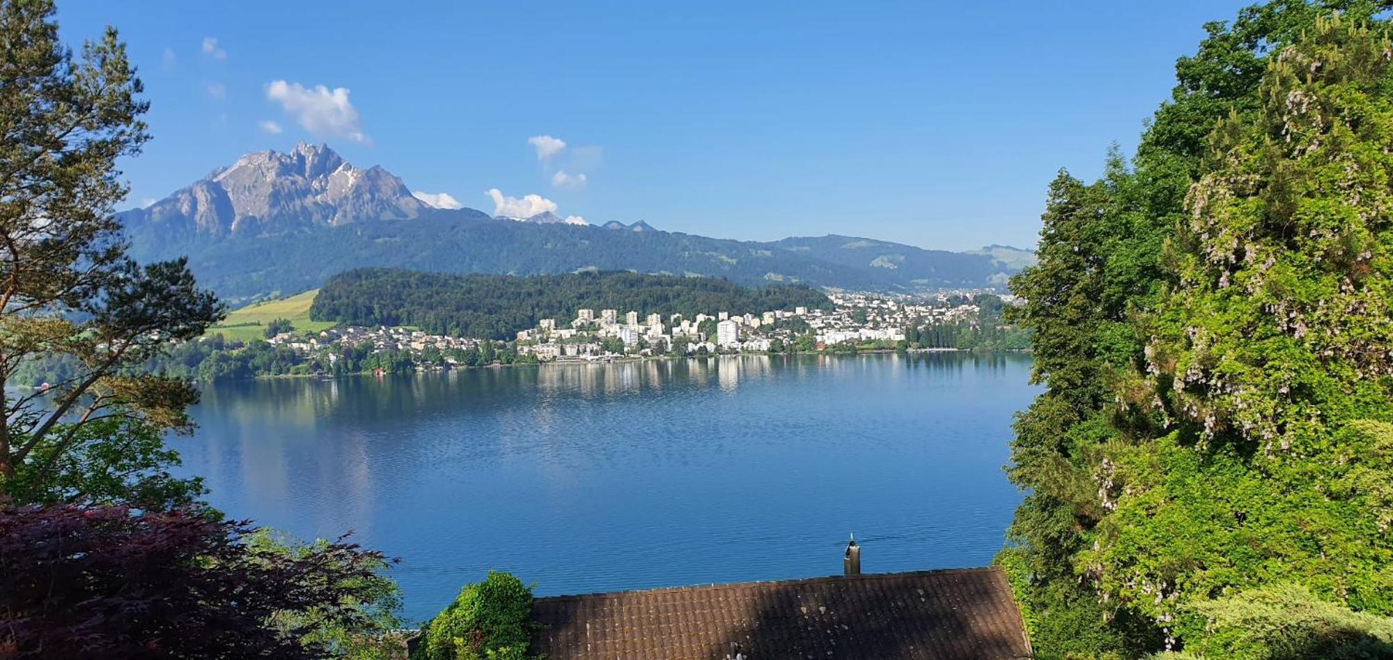 Queen Home Luzern Dış mekan fotoğraf