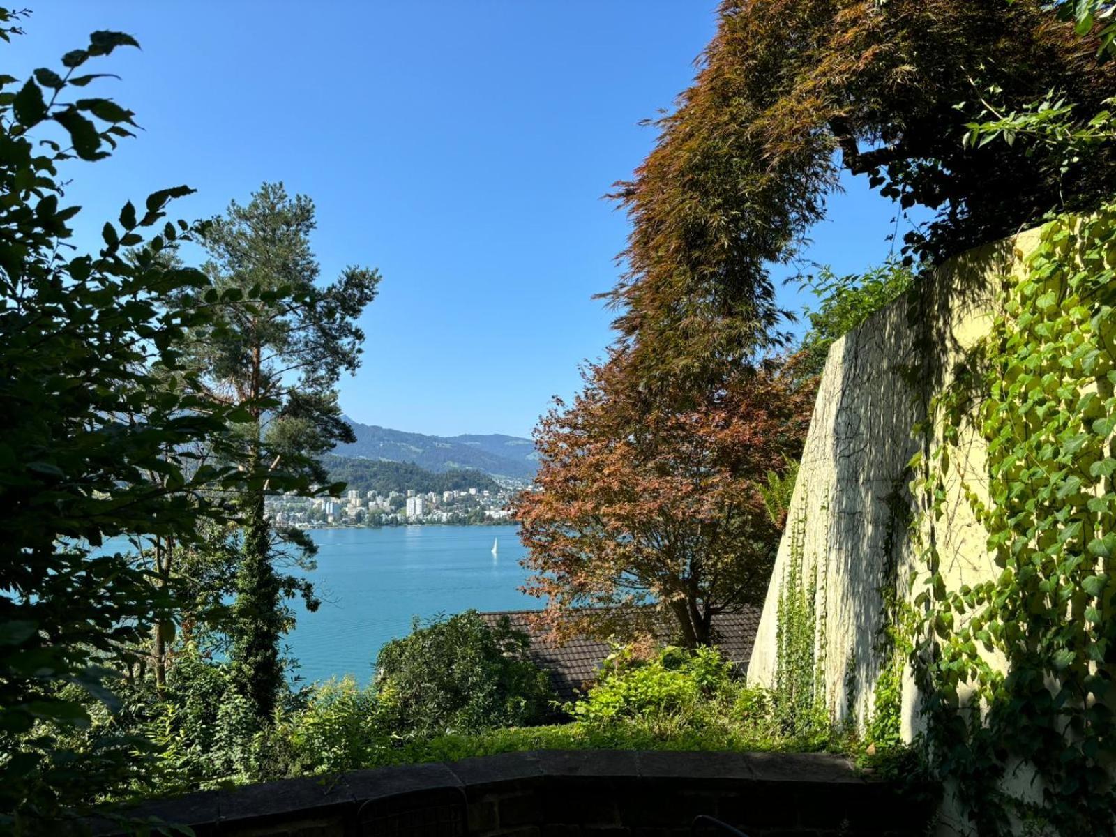 Queen Home Luzern Dış mekan fotoğraf